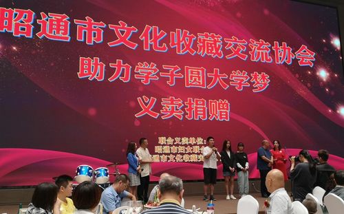 昭通市文化收藏交流協(xié)會(huì)成立，川滇兩地文化藝術(shù)交流迎來(lái)新篇章