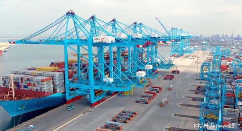 被中國暫停交易后,越南產(chǎn)品堆在關口只能苦等,態(tài)度突然積極